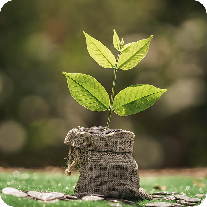 imagen-cuenta-de-ahorros